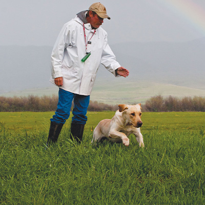 Length of Dog Training Sessions